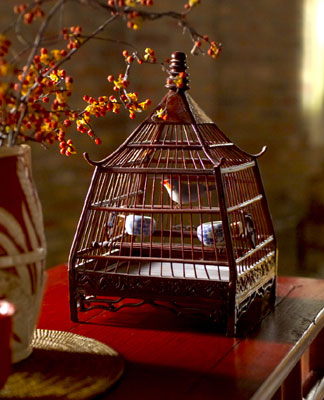 bird_cage